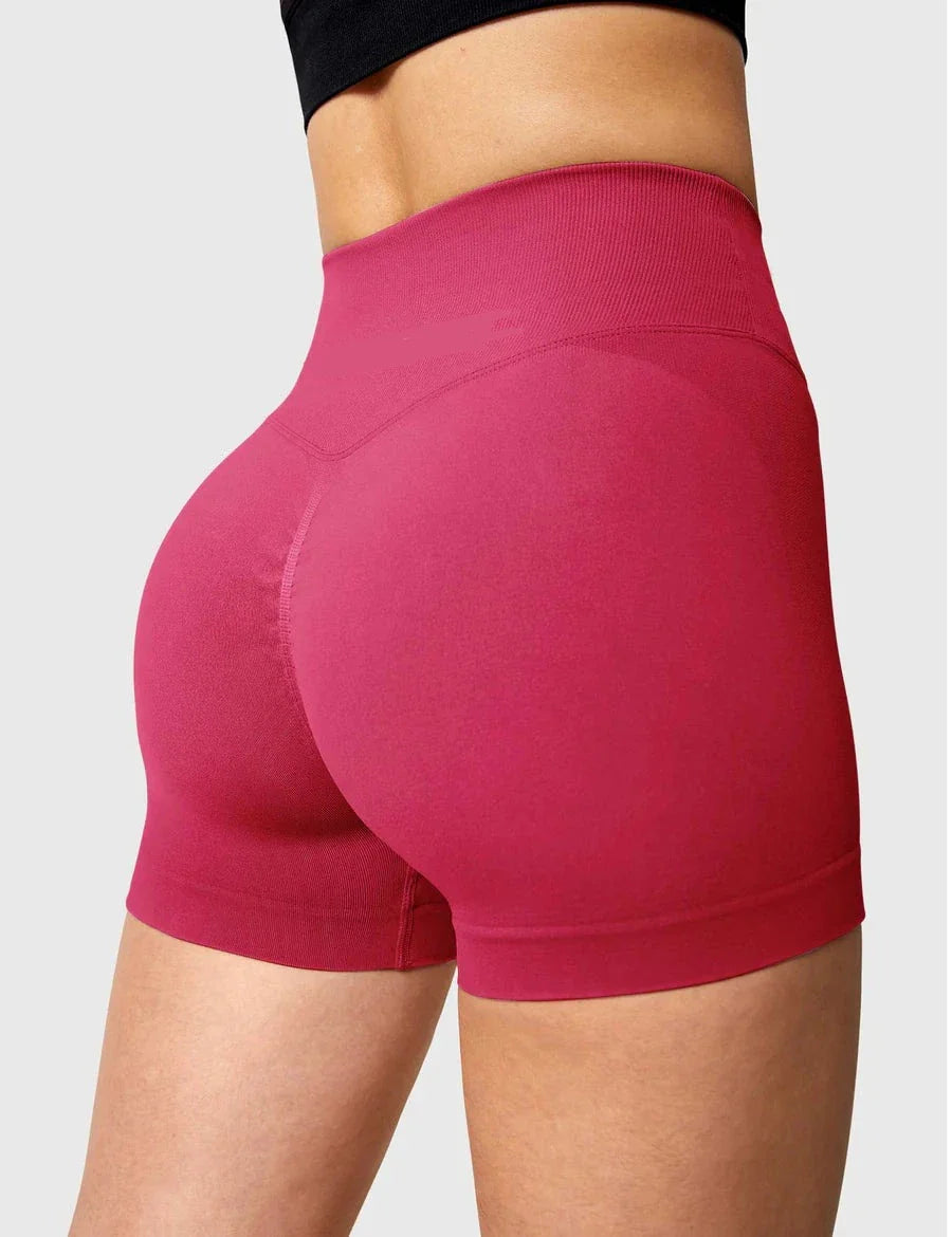 Velucia -  3.6”Amplify V-Waistband